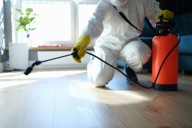 Reliable Infectious Disease Decontamination contractor in Idaho Springs, CO by Trauma Clean Pros